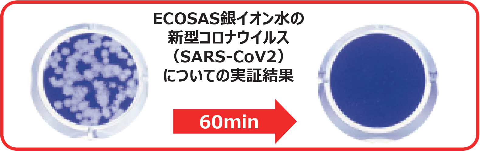 ECOSAS銀イオン水の新型コロナウイルス(SARS-CoV2)についての実証結果